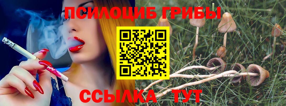 Псилоцибиновые грибы Magic Shrooms Коммунар